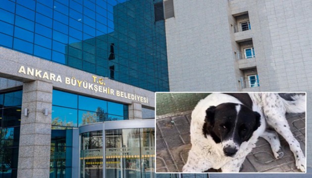 ABB'den 'Matmazel' açıklaması