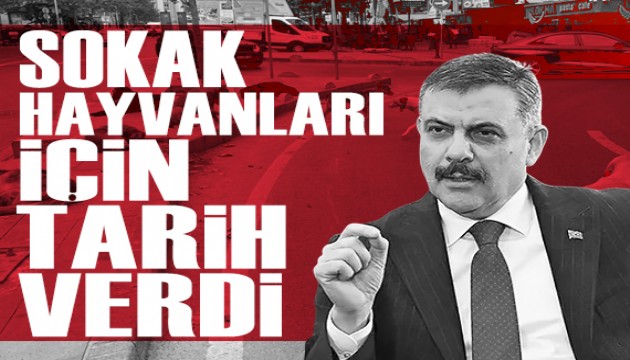 Bakan Çiftçi sokak hayvanları için tarih verdi