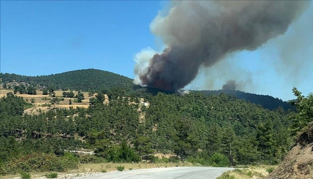 Çanakkale'deki orman yangınlarıyla ilgili 26 kişi hakkında adli işlem başlatıldı