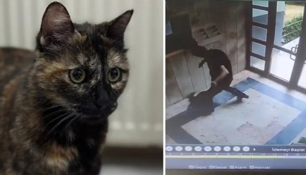 Cezve'nin katilinin cezası belli oldu