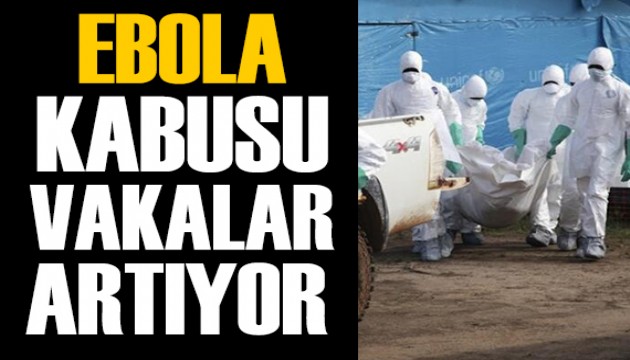 Ebola vakaları artıyor!