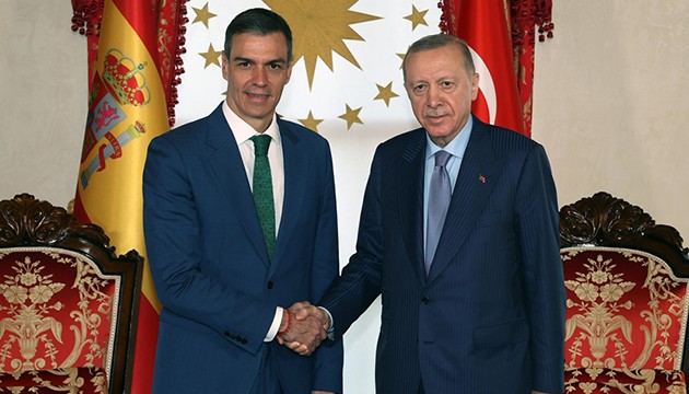 Erdoğan'dan kritik görüşme