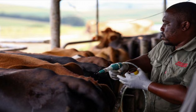 Salgın alarmı: 'Ulusal afet hali' ilan edildi