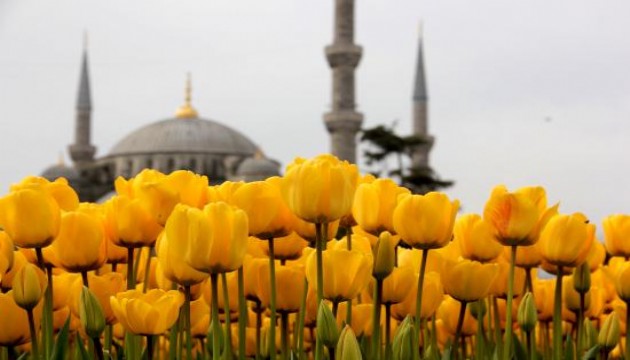 İstanbul’da Lale Bayramı festivali