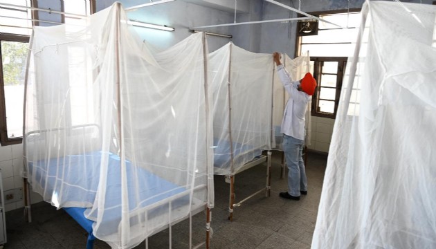 Hindistan'da 19 kişi 'beyin yiyen amip' nedeniyle öldü