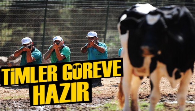 Kurban yakalama timleri göreve hazır
