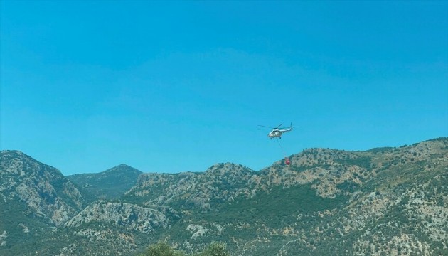 Muğla'da orman yangını! Ekipler bölgede