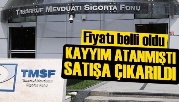 TMSF Assan Group'ı satışa çıkardı: Fiyatı belli oldu
