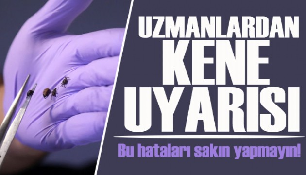 Uzmanlardan kene uyarısı: Bu hatayı sakın yapmayın!