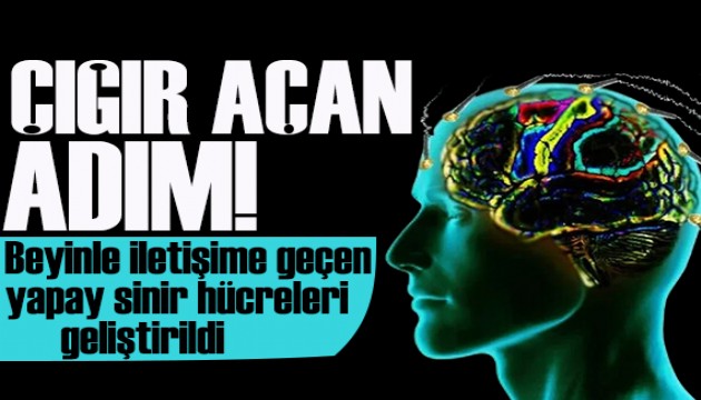 Beyinle iletişim kurabilen yapay hücreler geliştirildi