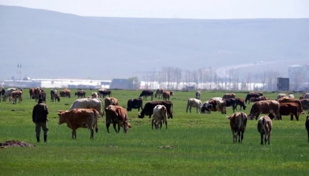 Kurban satışlarında tuzak