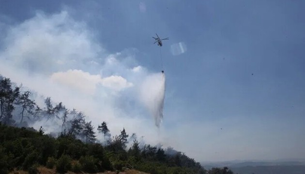 Balıkesir ve Diyarbakır'da orman yangınları