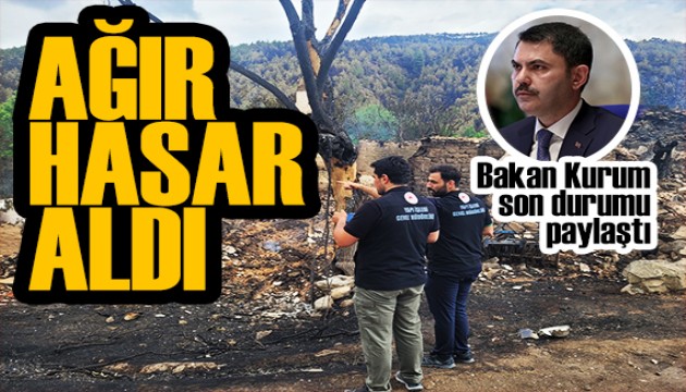 Bakan Kurum yangınlara ilişkin konuştu: 66 bağımsız bölüm ağır hasarlı