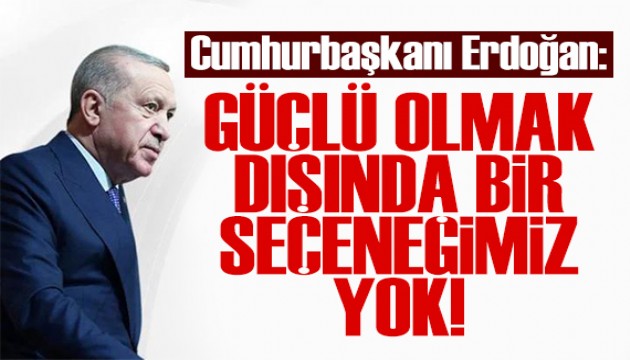 Cumhurbaşkanı Erdoğan: Güçlü olmak dışında seçeneğimiz yok