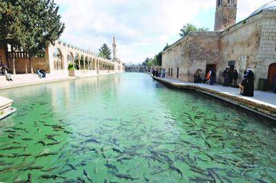 Urfa Yeni Kültür Başkenti